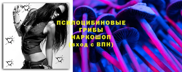 ПСИЛОЦИБИНОВЫЕ ГРИБЫ Абдулино