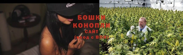 ПСИЛОЦИБИНОВЫЕ ГРИБЫ Абдулино