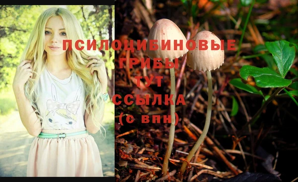 мдпв Абинск