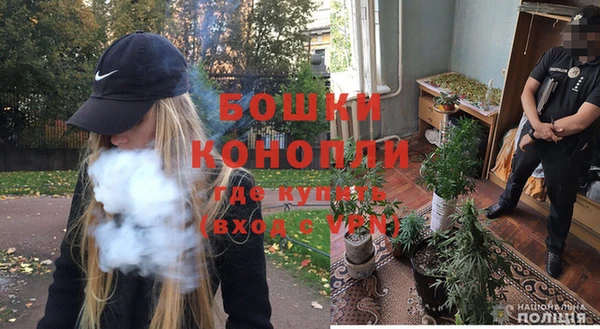 ПСИЛОЦИБИНОВЫЕ ГРИБЫ Абдулино