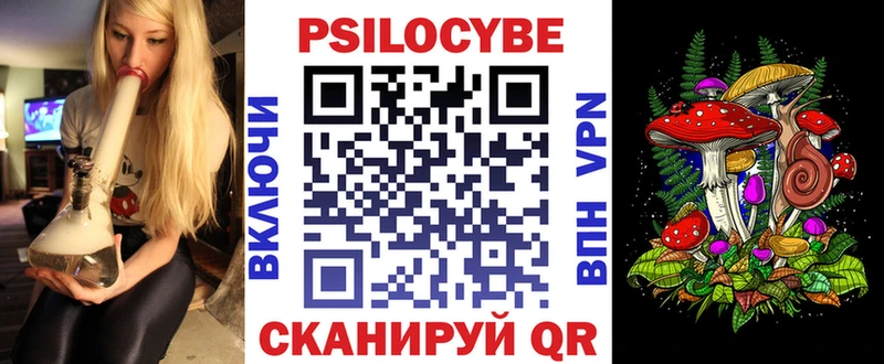 Псилоцибиновые грибы Cubensis  Холм 